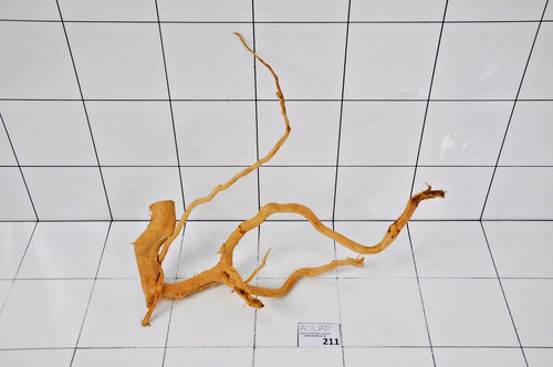 Premium aquarium natural - premium, wood