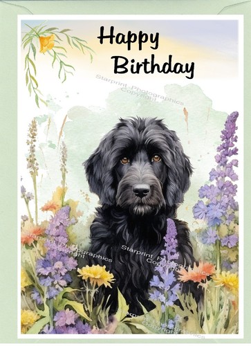 Labradoodle doodle dog - labradoodle, /