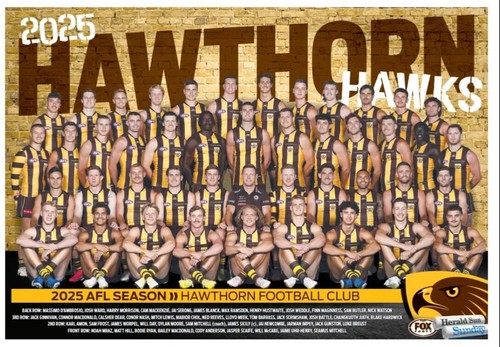Hawthorn hawks 2025 afl - hawthorn,