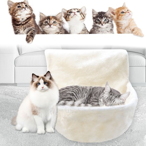 Cat radiator bed - cat,
