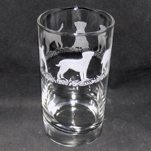 Engraved border terrier - engraved, terrier'