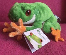 Rainforest Alliance Red-eyed