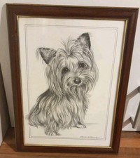 Yorkshire Terrier Portrait Picture Print of Drawing Pollyanna Pickering Framed