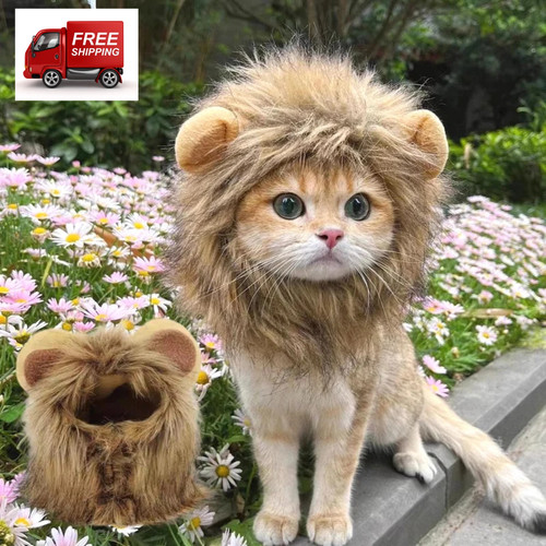 Lion mane cat - mane, costume
