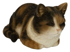 Vivid Arts Cat Dreaming -