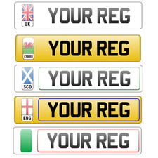 Premium Printed 2D Number