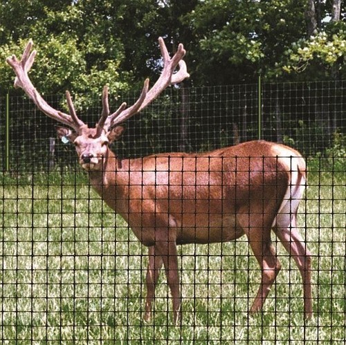 Deer netting fencing black - deer,