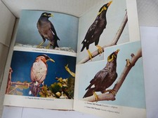 The Handbook of Foreign Birds in Colour Vintage Hardback Book Rutgers 1968