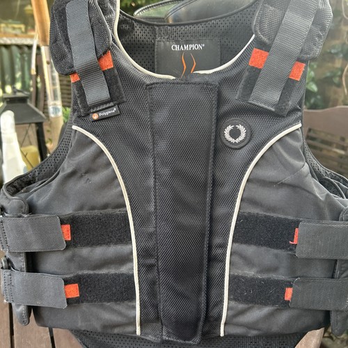Equestrian bundle champion - equestrian, bundle,champion