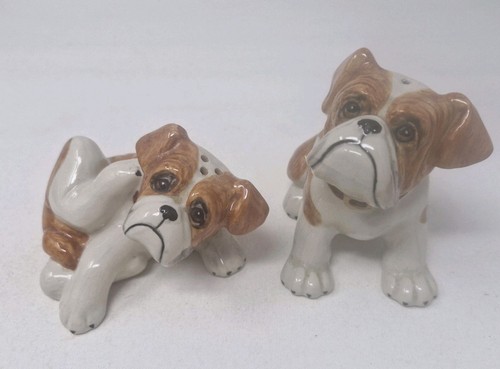 Boxer dog salt and - and, pepper