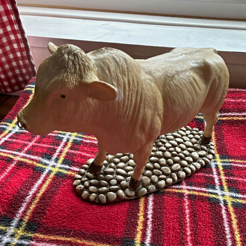 Sherratt simpson charolais - sherratt,