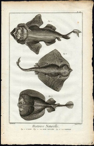 Antique