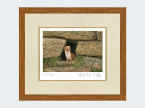 Weasel wall framed - weasel,