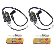 Ignition Coils & Spark Plug
