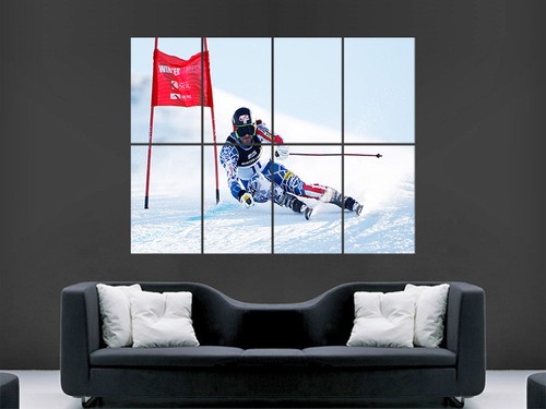 Skiing poster slalom winter - poster,