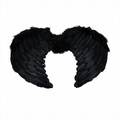 Black wings feather angel - angel, bird