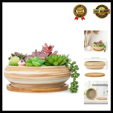 18.5CM Ceramic Succulent Pot