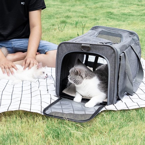 Large pet carrier bag - pet, portable
