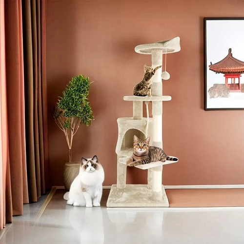 Tier luxury cat - luxury,