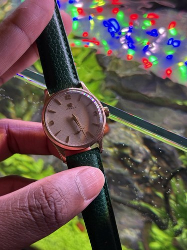 1950 omega dress watch in - watch,