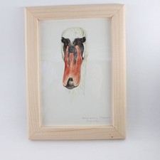 Vintage mute swan print - print, keith