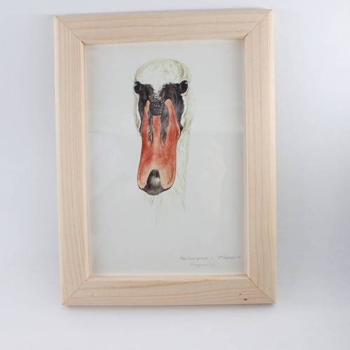 Vintage mute swan - print, keith