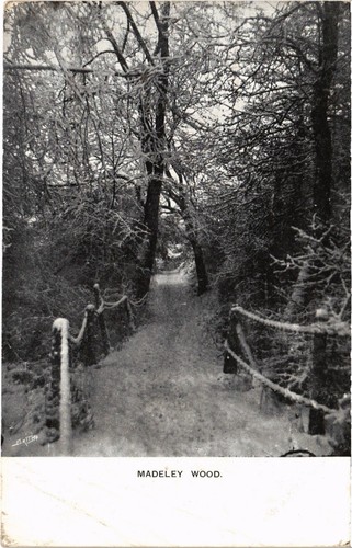 Madeley wood shropshire - wood,