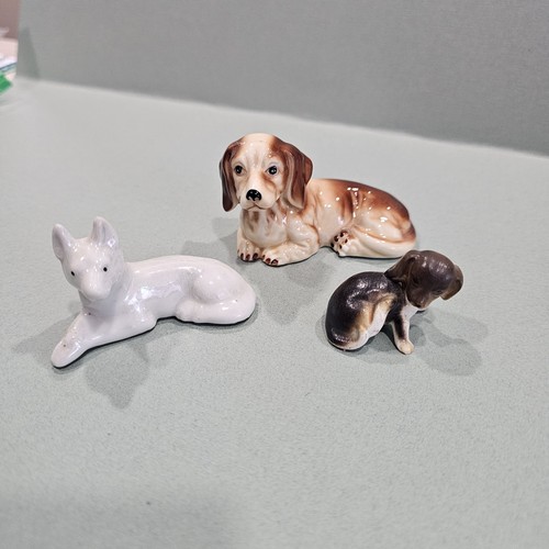 Miniature dog puppies misc - 3,