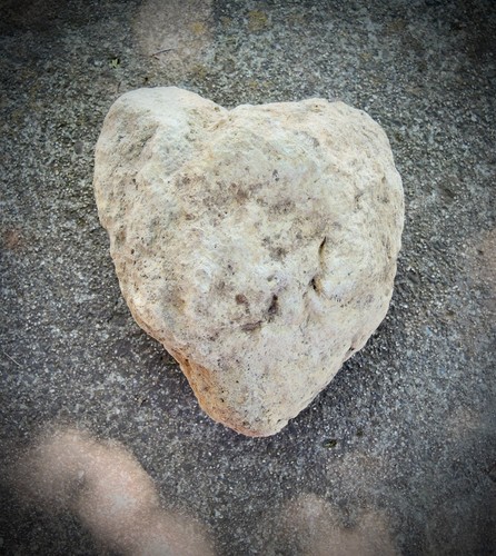 Xxl pumice stone volcanic rock - stone,