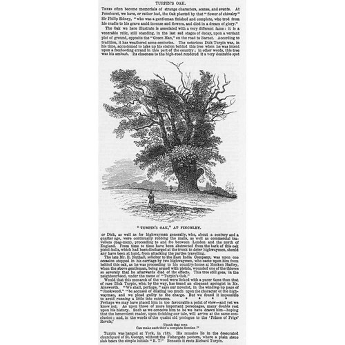 Finchley turpin oak - turpin's,