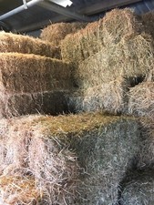 Small Bales of Hay