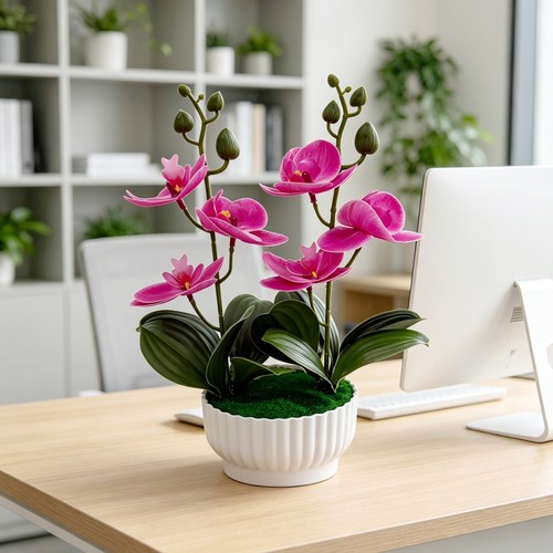 Artificial orchid with - artificial,