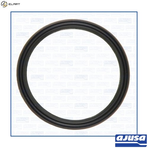 Seal ring oil - ring, plug