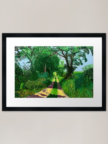 David hockney framed art - hockney, print