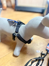 Step in Harness Dog Puppy to