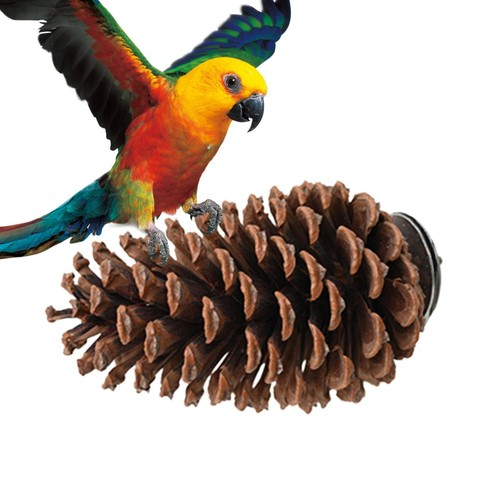 Pinecone bird perch stand - pinecone,