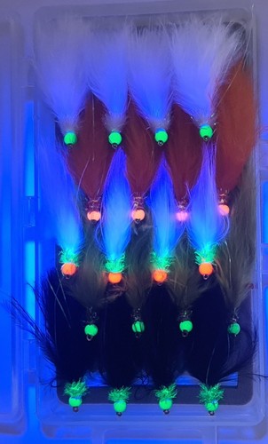 Fluorescent hot head cats - hot-head,