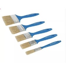 Set 5 Piece Disposable Paint Brush - 12m, 25mm, 40mm, 50mm & 75mm - 314733