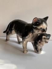 Cute China Cat Carrying Her