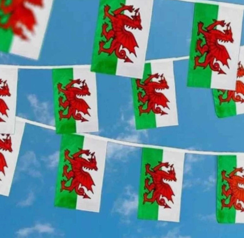 Welsh flag bunting - welsh,