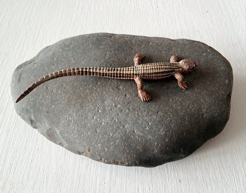 Natural vivarium basking rock - basking,