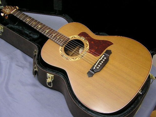 Takamine mij santa psf - santa, fe