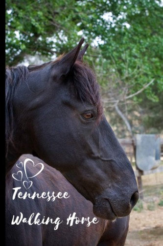 Tennessee walking horse - tennessee,