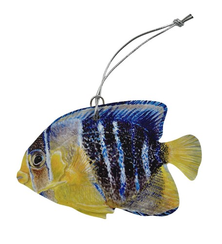 Queen angel fish - queen,