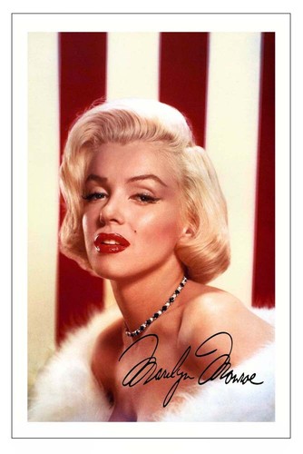 Marilyn monroe signed - marilyn,