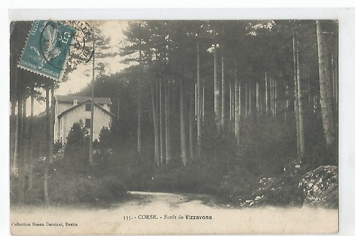Corsica vizzavona forest - vizzavona,