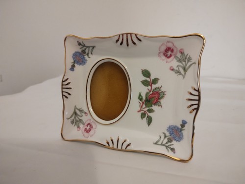 Aynsley wild tudor bone - wild, china
