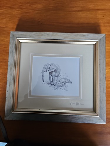 David shepherd signed elephant - david,