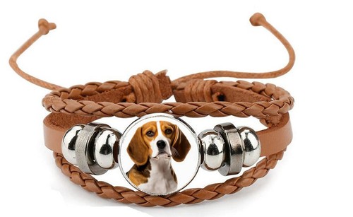 Beagle dog pet brown - dog, leather