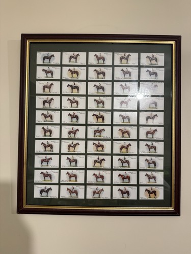 Horse racing collective - horse,